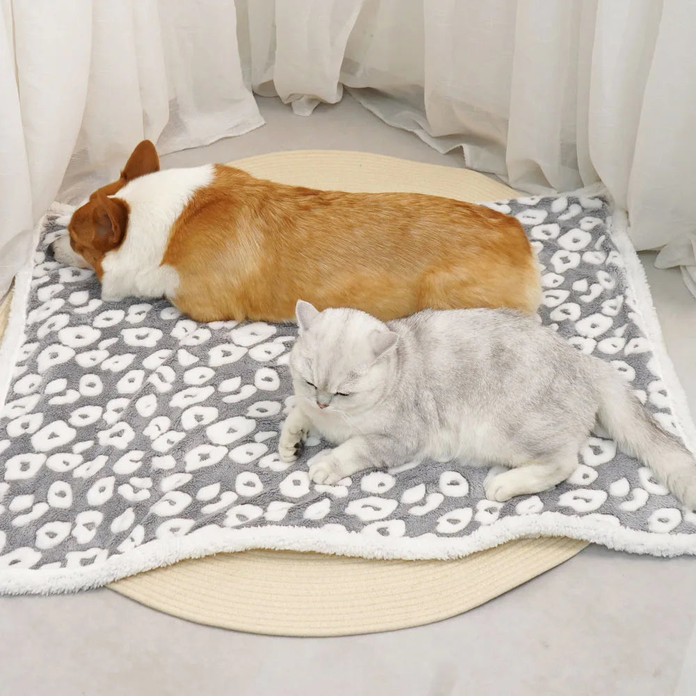 Plush Pet Blanket